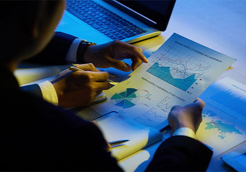 On-Page & Asset Optimization