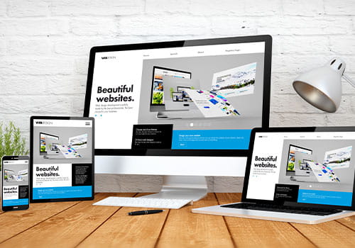Website Launch