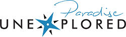 Paradise Unexplored Logo