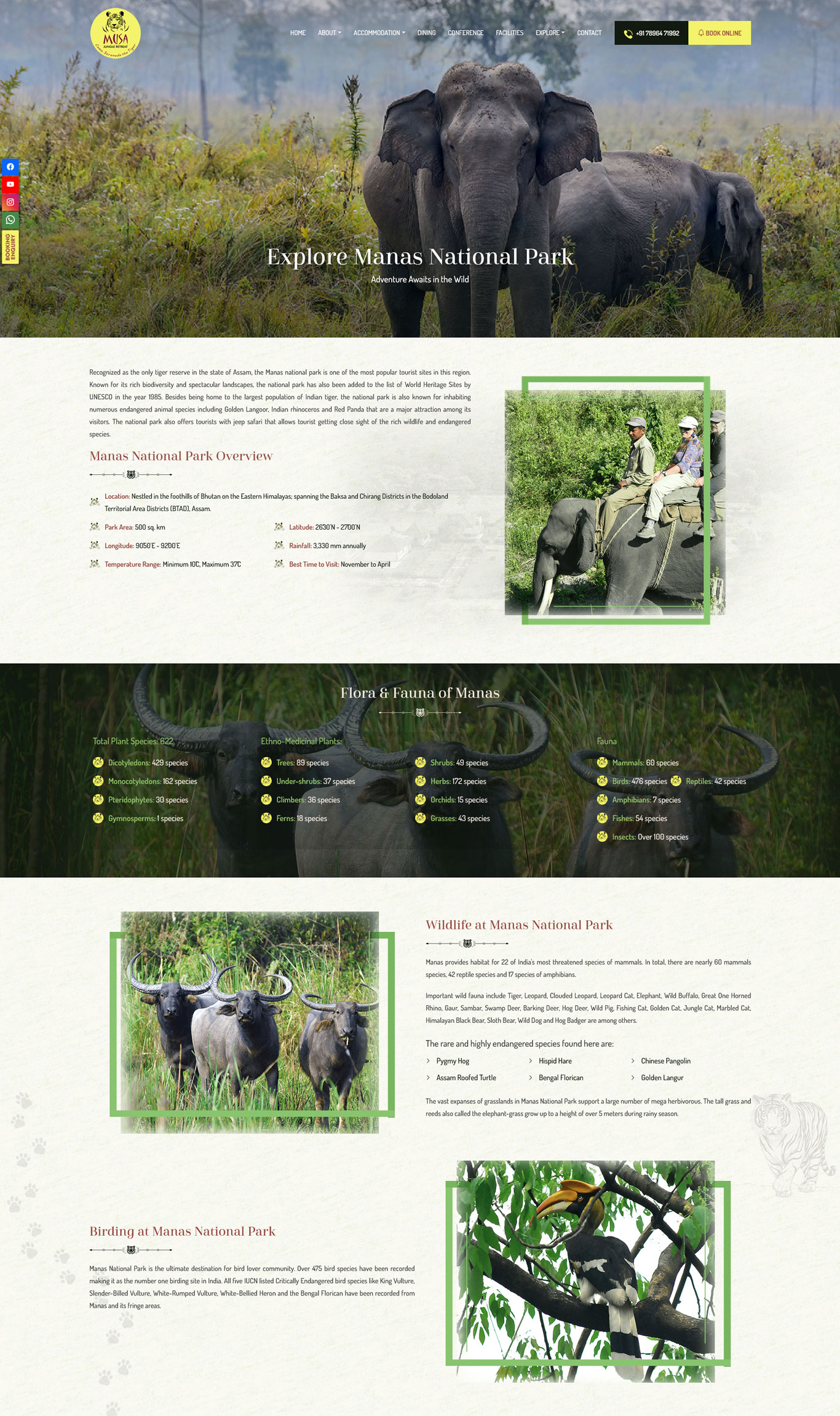 Musa Jungle Retreat Website Screenshot 1