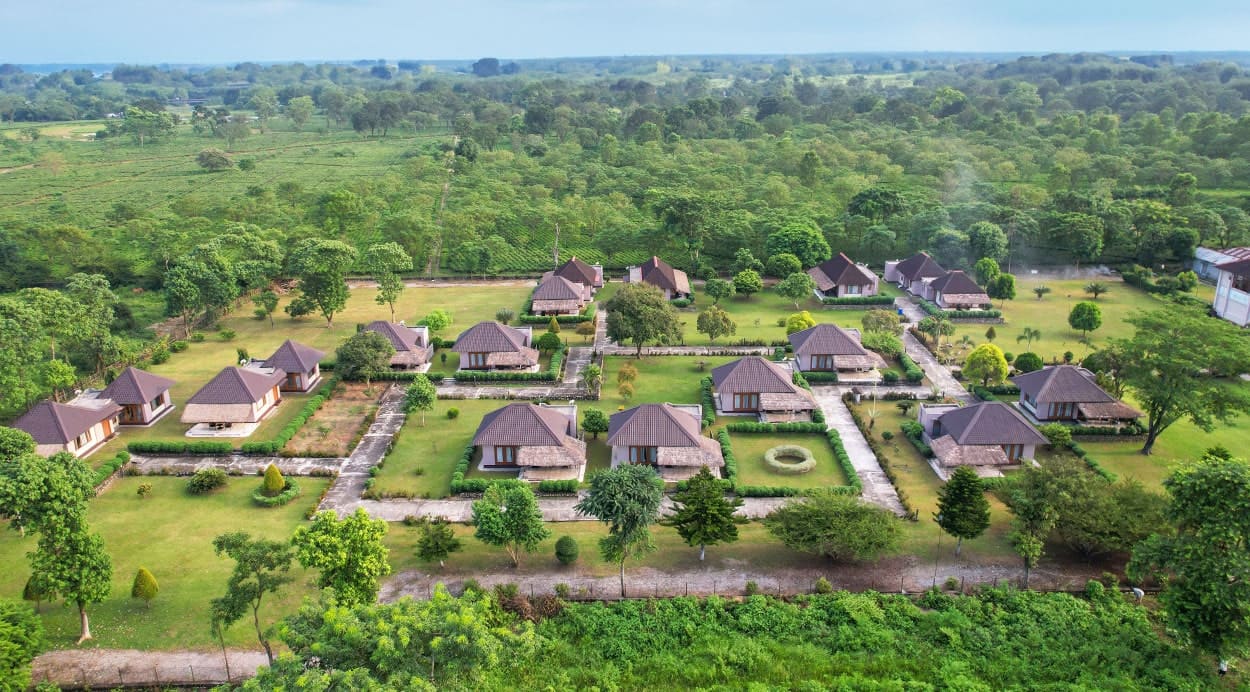 Musa Jungle Retreat Website Design