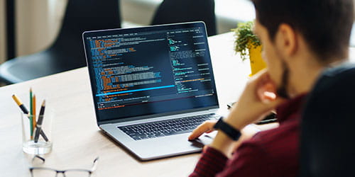 WordPress Development